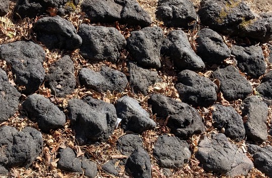 春だ!あつまれ雑談&ゲーム好きの森・Ⅻ 寄ってかれ〜♪♪