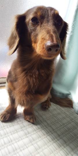 生き物ルーム第36