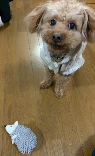 生き物ルーム第34