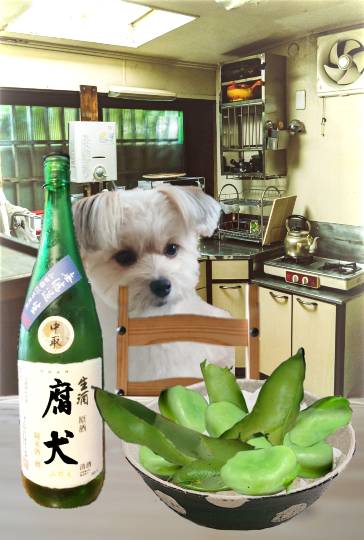 生き物ルーム第34