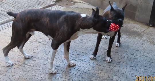 生き物ルーム第34