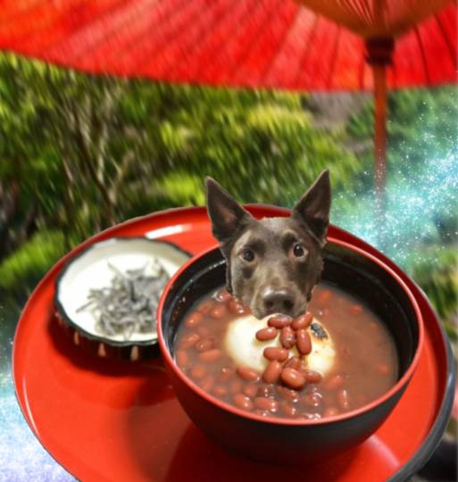 生き物ルーム第36