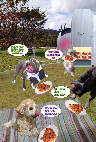 生き物ルーム第34