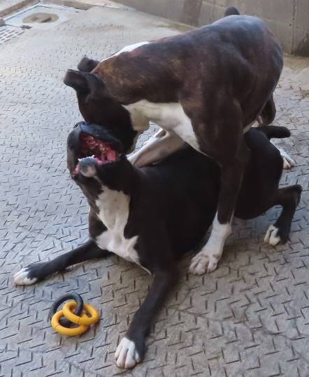 生き物ルーム第35