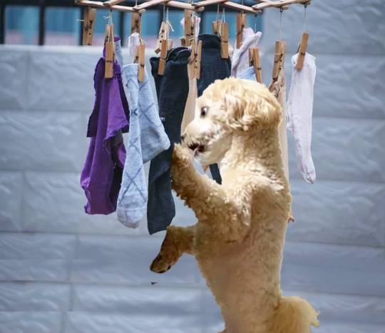 生き物ルーム第34