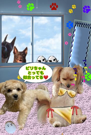 生き物ルーム第36