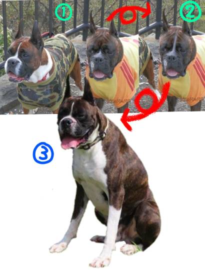 生き物ルーム第36