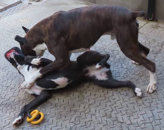 生き物ルーム第35