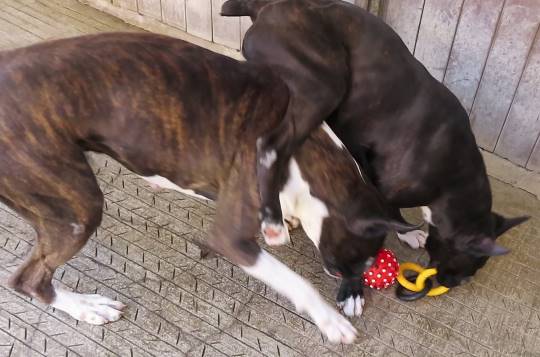 生き物ルーム第36