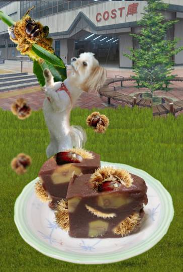 生き物ルーム第34