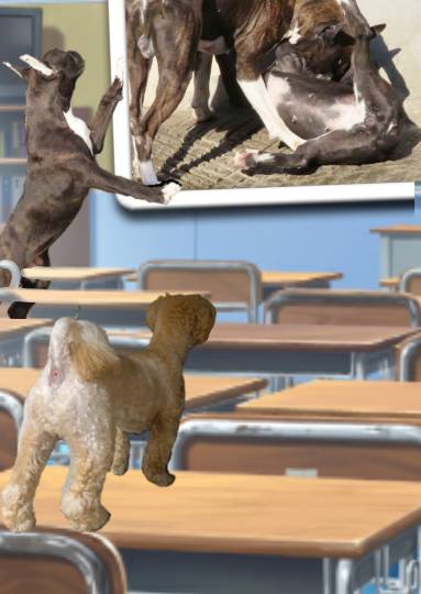 生き物ルーム第34