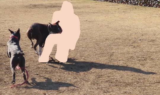 生き物ルーム第34