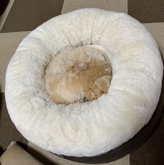 生き物ルーム第36