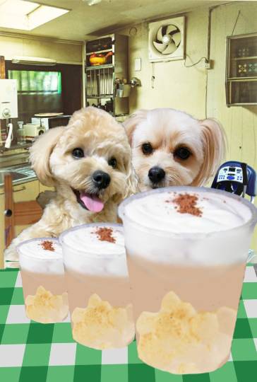 生き物ルーム第35