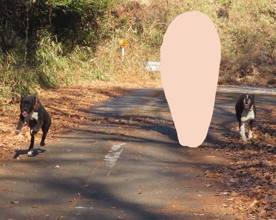 生き物ルーム第35