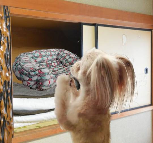 生き物ルーム第35