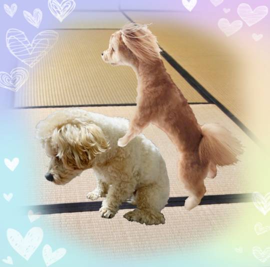 生き物ルーム第35