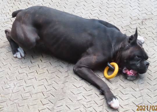 生き物ルーム第34