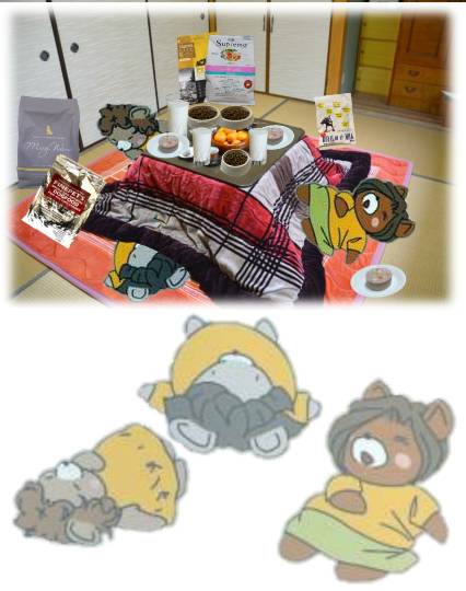 生き物ルーム第36