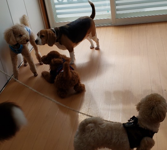 生き物ルーム第33