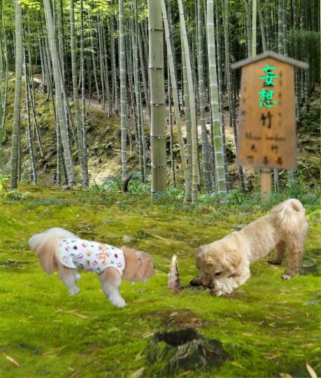 生き物ルーム第35