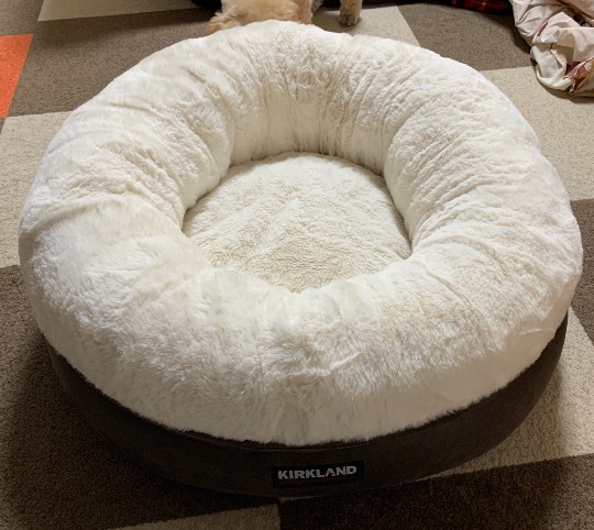 生き物ルーム第35