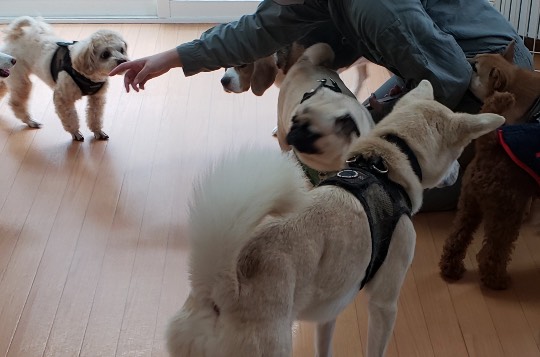 生き物ルーム第33