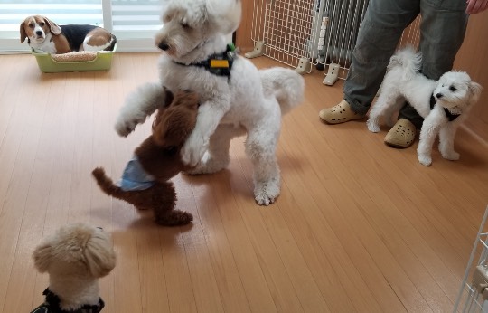 生き物ルーム第36