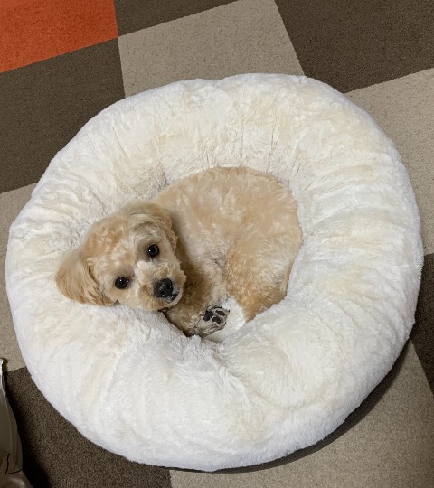 生き物ルーム第35