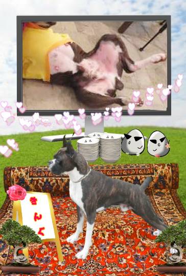 生き物ルーム第34