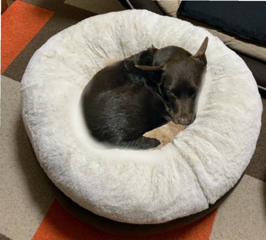 生き物ルーム第36