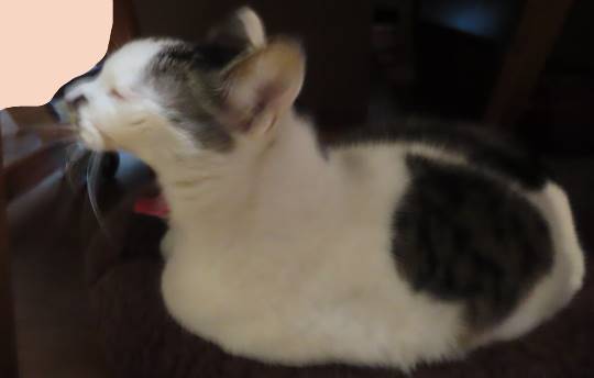 生き物ルーム第34