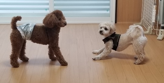 生き物ルーム第35