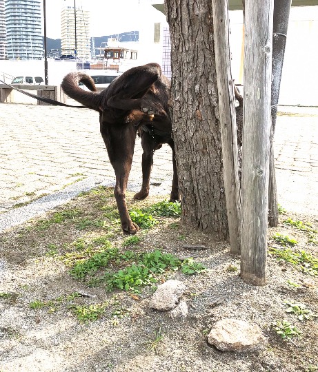 生き物ルーム第34