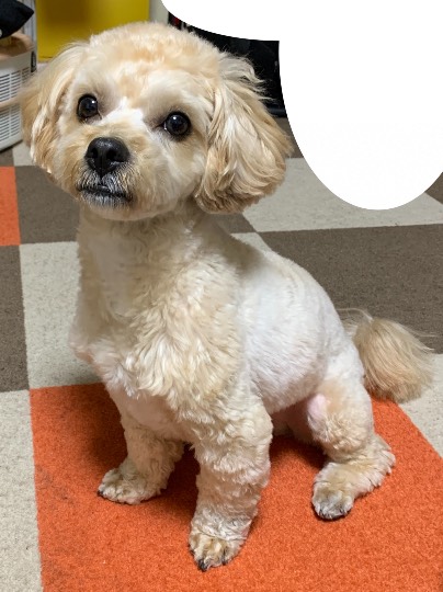 生き物ルーム第34