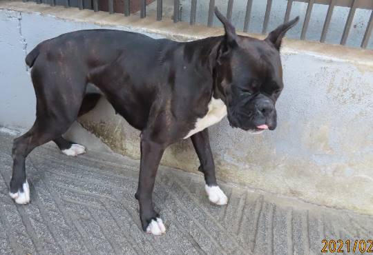 生き物ルーム第35