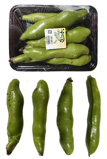 生き物ルーム第35