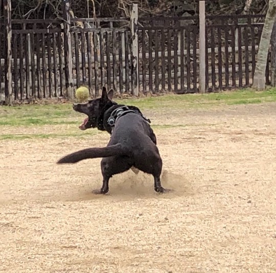 生き物ルーム第36