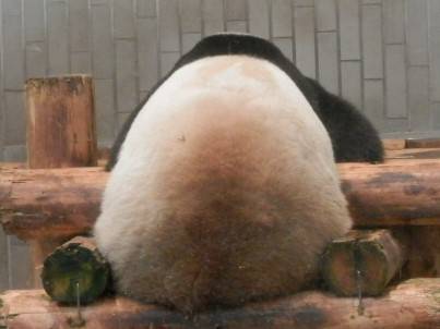 生き物ルーム第35