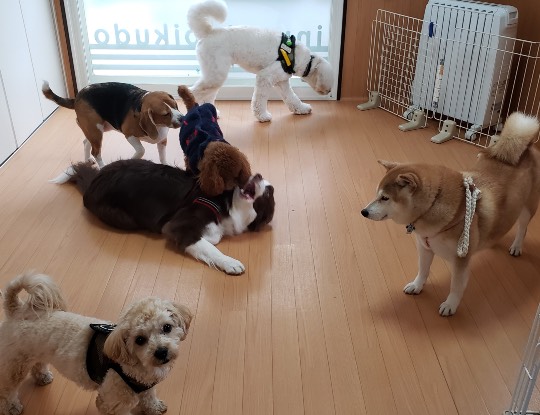 生き物ルーム第33