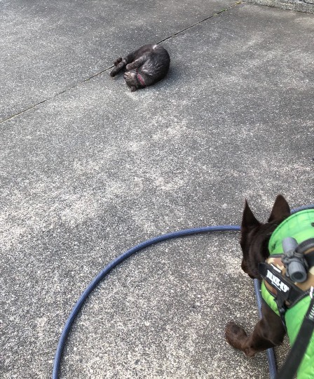 生き物ルーム第34