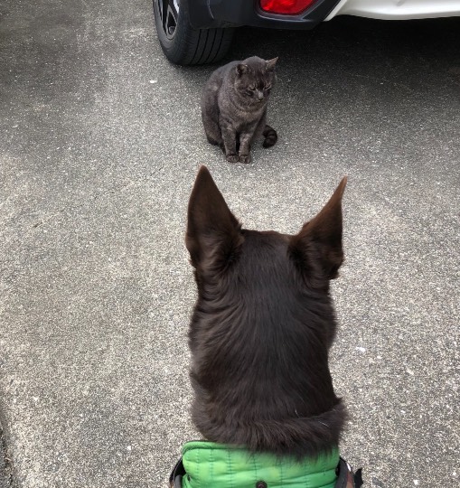 生き物ルーム第34