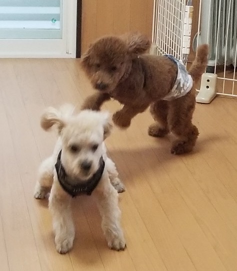 生き物ルーム第35