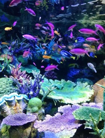 生き物ルーム第35