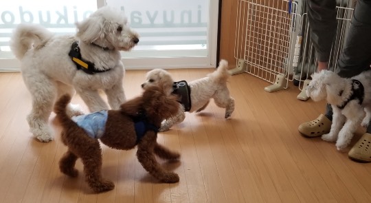 生き物ルーム第36