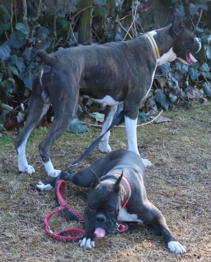 生き物ルーム第36