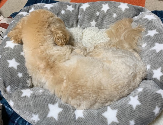 生き物ルーム第34