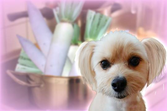 生き物ルーム第34