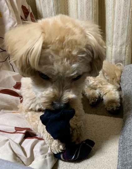 生き物ルーム第35