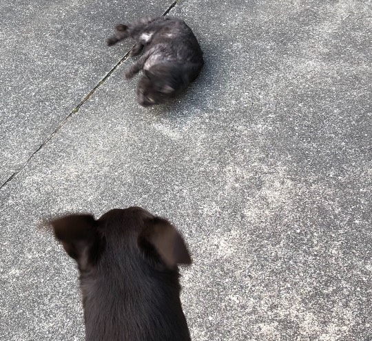 生き物ルーム第34